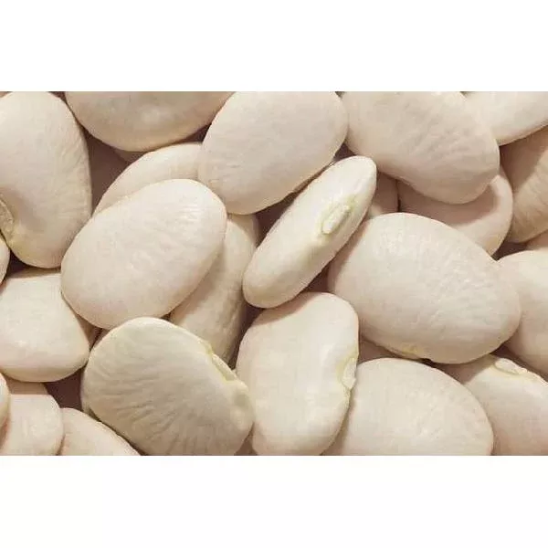 Furmano Foods Commodity Beans Butter Fancy in Sauce 108 Ounce Size - 6 Per Case