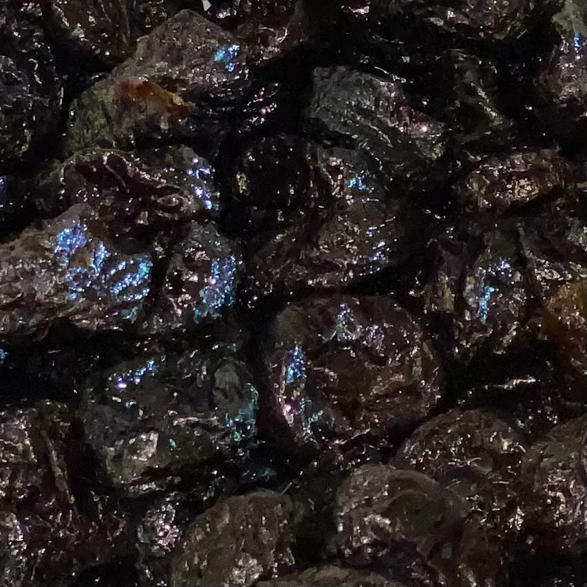 Prunes, Dried