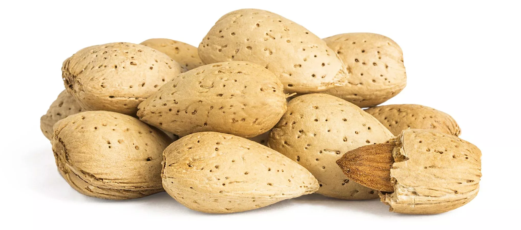 Raw Almonds in Shell